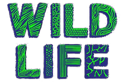 Wildlife Festival logo